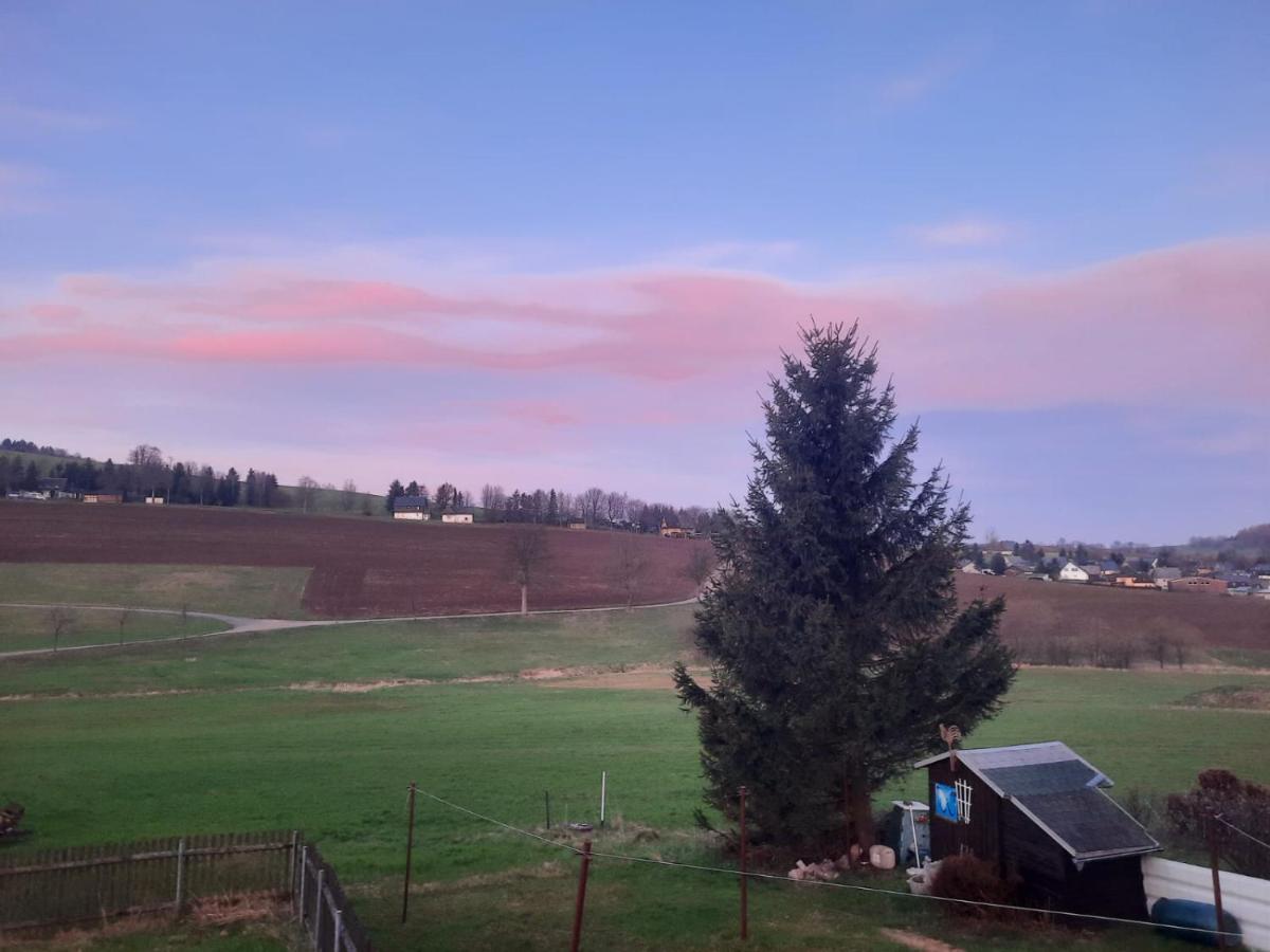 Ferienwohnung Wiesenblick In Kurort Seiffen/Erzgebirge Exterior foto