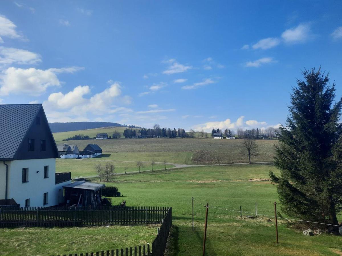 Ferienwohnung Wiesenblick In Kurort Seiffen/Erzgebirge Exterior foto