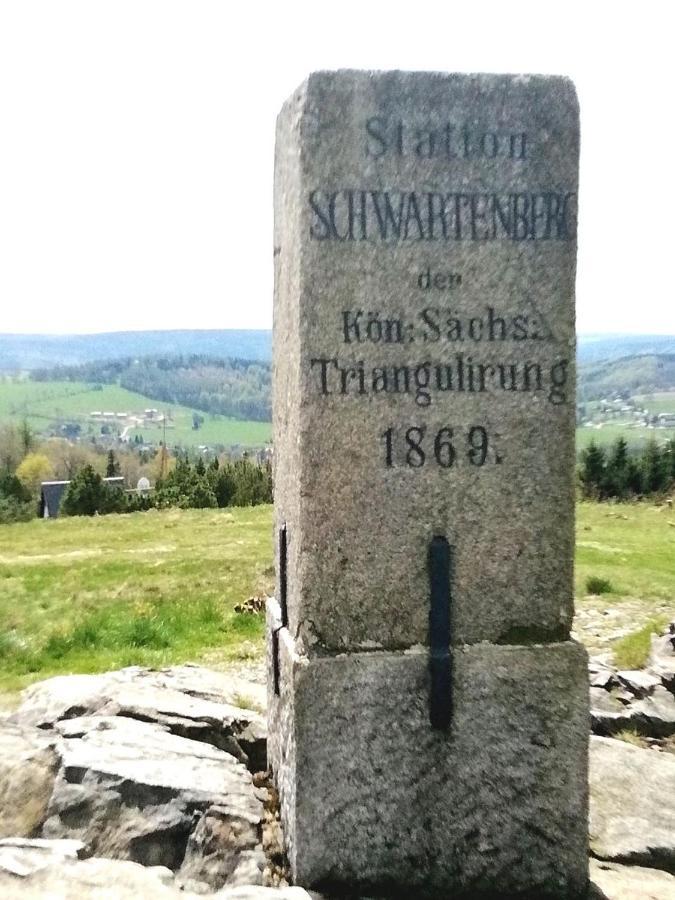 Ferienwohnung Wiesenblick In Kurort Seiffen/Erzgebirge Exterior foto