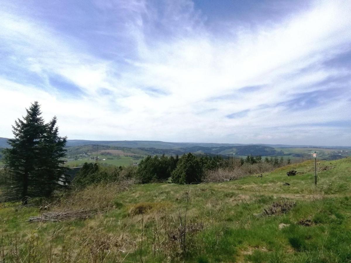 Ferienwohnung Wiesenblick In Kurort Seiffen/Erzgebirge Exterior foto