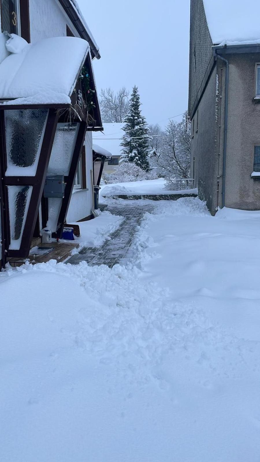 Ferienwohnung Wiesenblick In Kurort Seiffen/Erzgebirge Exterior foto